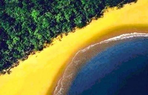 Governo de SP regulamenta parte do Código Florestal no Estado