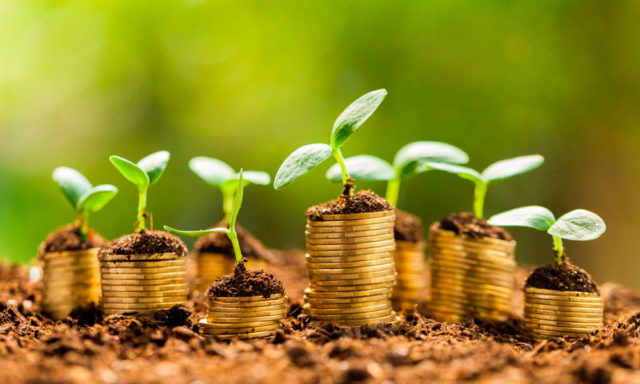 Adesão ao Refis do Funrural é prorrogada até 31 de dezembro