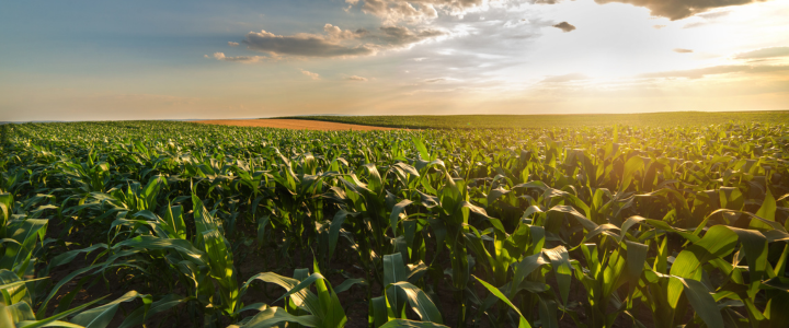 Marca histórica do agronegócio brasileiro destaca protagonismo na segurança alimentar global